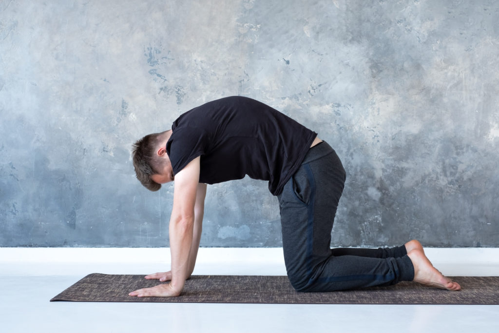 man doing cat cow stretch 